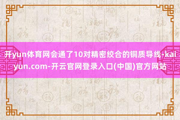 开yun体育网会通了10对精密绞合的铜质导线-kaiyun.com-开云官网登录入口(中国)官方网站