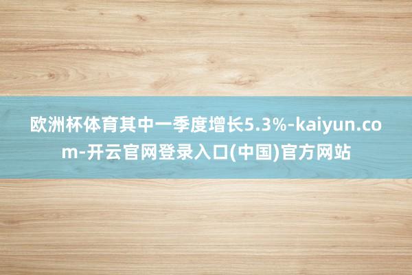 欧洲杯体育其中一季度增长5.3%-kaiyun.com-开云官网登录入口(中国)官方网站