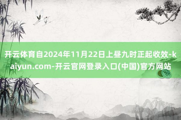 开云体育自2024年11月22日上昼九时正起收效-kaiyun.com-开云官网登录入口(中国)官方网站