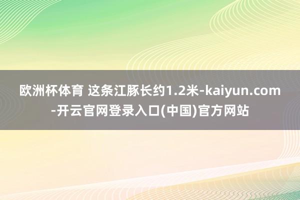 欧洲杯体育 这条江豚长约1.2米-kaiyun.com-开云官网登录入口(中国)官方网站