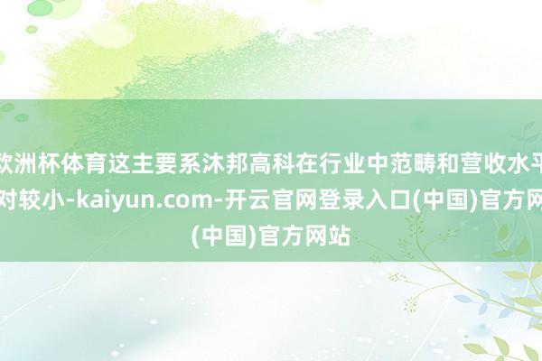 欧洲杯体育这主要系沐邦高科在行业中范畴和营收水平相对较小-kaiyun.com-开云官网登录入口(中国)官方网站