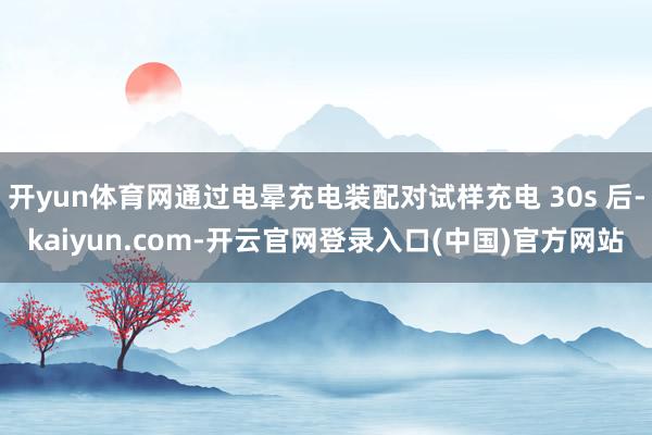 开yun体育网通过电晕充电装配对试样充电 30s 后-kaiyun.com-开云官网登录入口(中国)官方网站